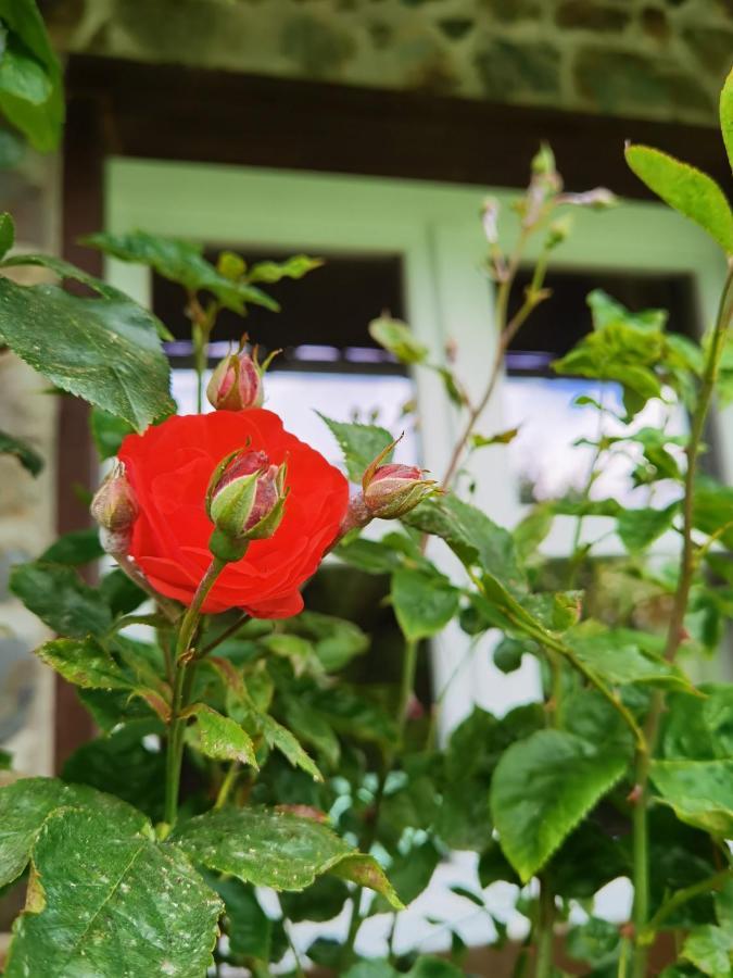 Ferienhaus Eifelrose Simmerath Eksteriør bilde