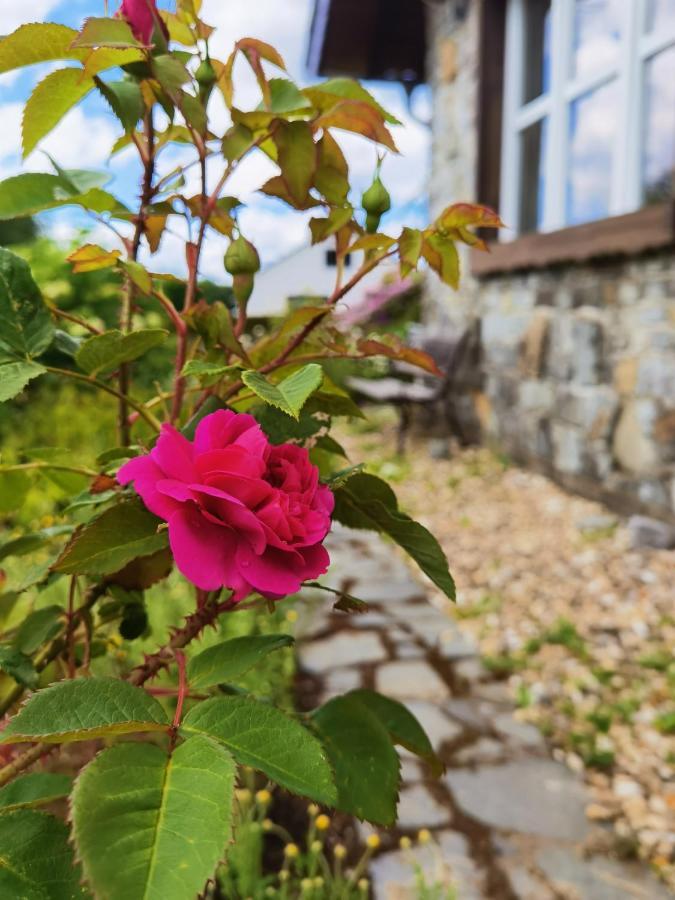 Ferienhaus Eifelrose Simmerath Eksteriør bilde