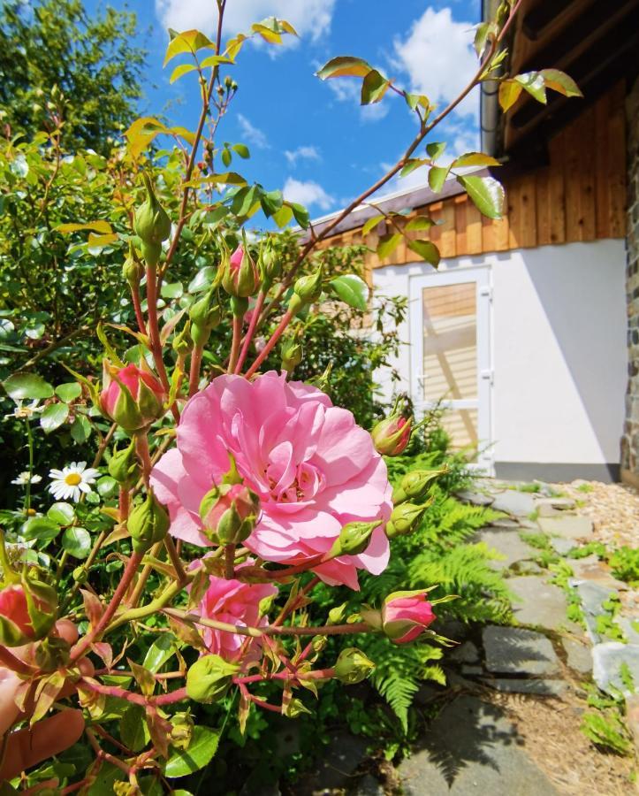 Ferienhaus Eifelrose Simmerath Eksteriør bilde