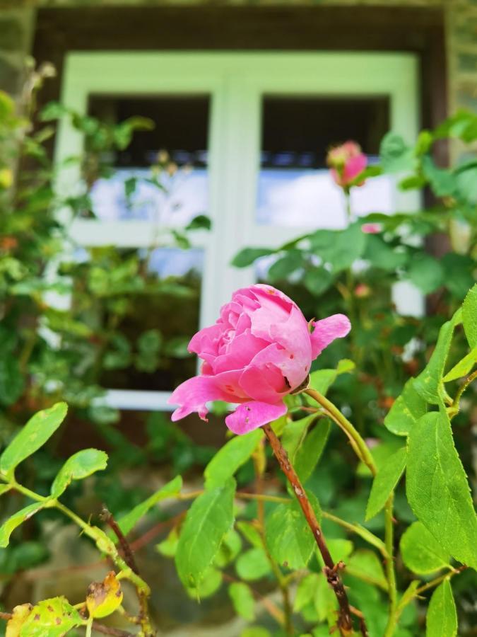 Ferienhaus Eifelrose Simmerath Eksteriør bilde